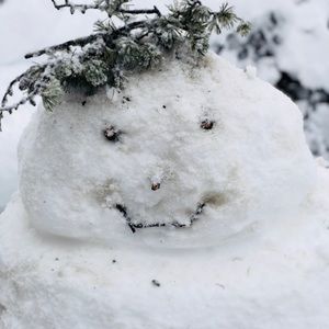 Meet your Posher, Sonia